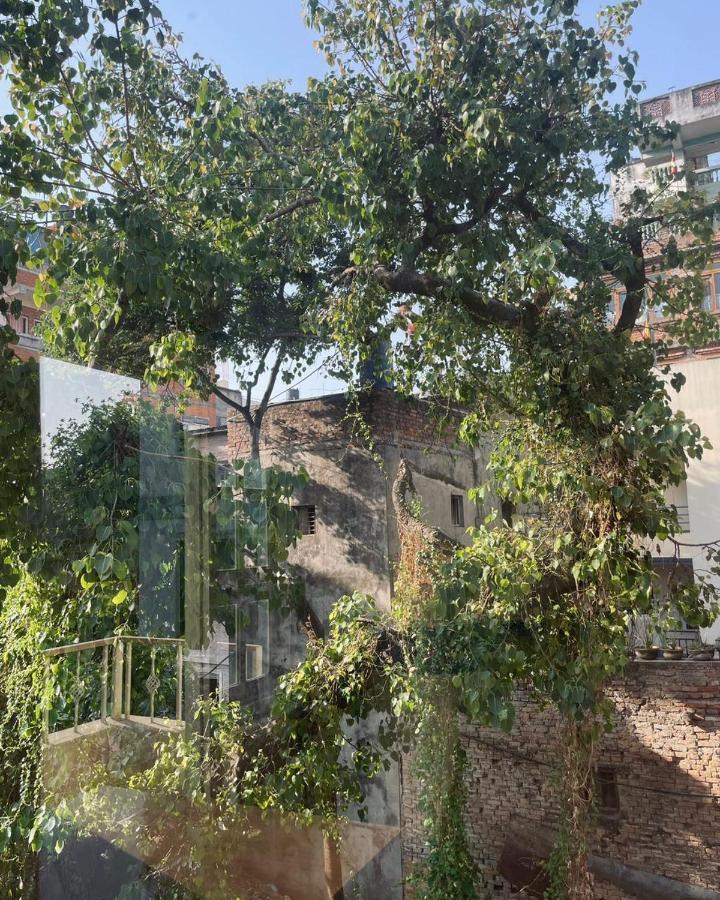 Rooftop And 2bhk In Kathmandu's Happening Place * Kathmandu